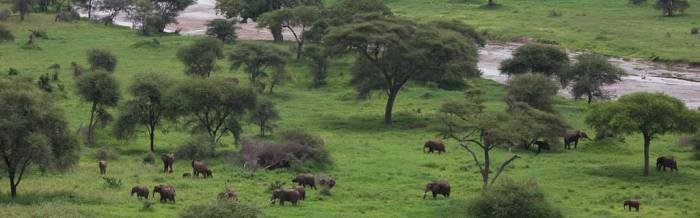  CHAZ TOURS SAFARIS  of CHAZTOURS KENYATTA AVENUE - Photo 21 of 21