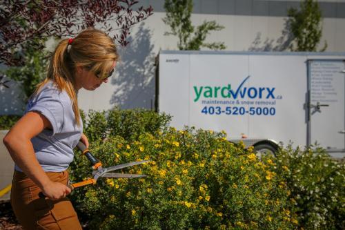  Profile Photos of Yardworx 71 Skyline Crescent NE - Photo 3 of 4