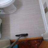 QoZee Nest Housekeeping LLC, Detroit