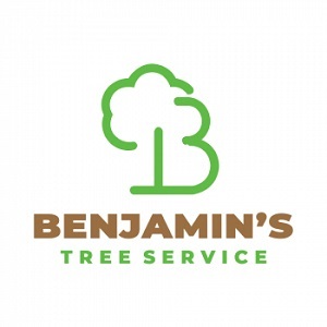  Profile Photos of Benjamin's Tree Service 1932 E St Louis Ave - Photo 1 of 1