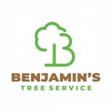 Benjamin's Tree Service, Las Vegas