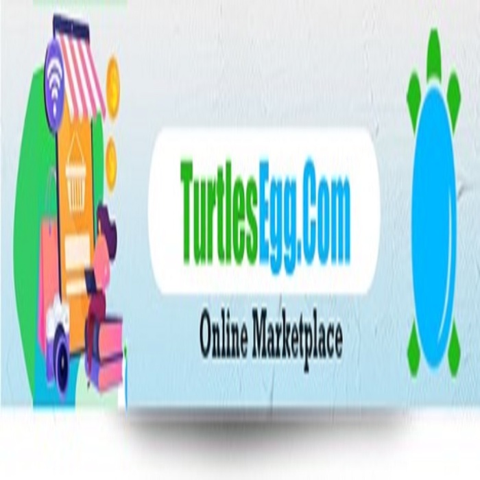  Profile Photos of TurtlesEgg.com N/A - Photo 1 of 1