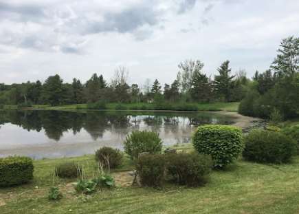  Profile Photos of Harmony Resorts - Ancaster Springs 976 Hwy 52 N - Photo 3 of 4
