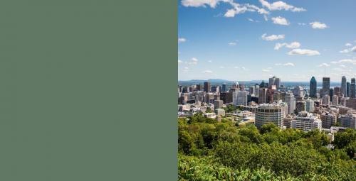  Profile Photos of Insight Pest Solutions - MontrÃ©al, QC 325 St Augustin St - Photo 1 of 4