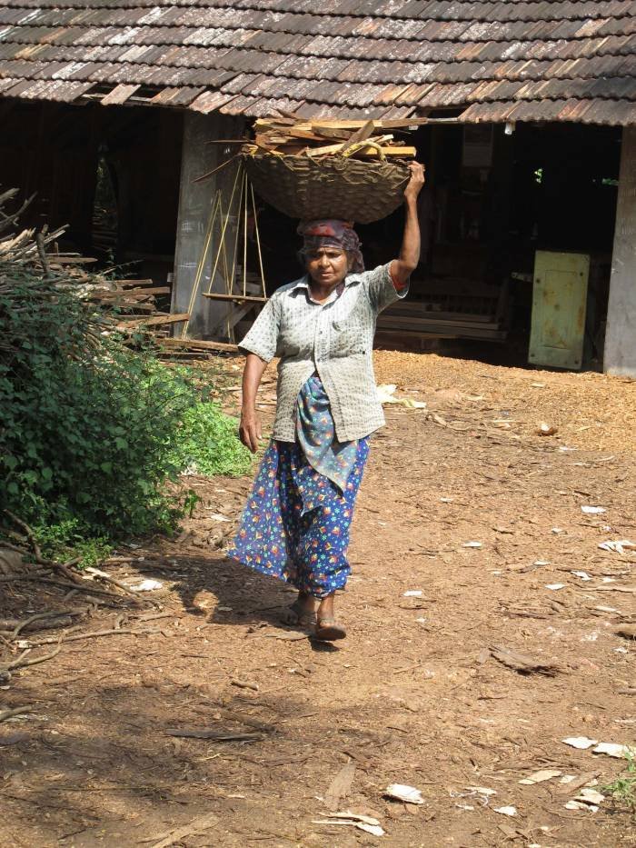 Gathering firewood                     Kerala scenes of Kerala Connections Ltd School House Lane - Photo 10 of 14