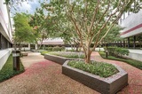 Texas Mens Health Group, Irving