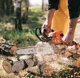 Bothell Tree Services, Bothell