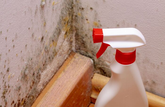  Profile Photos of Mold Removal Memphis Solutions 5287 Knight Arnold Rd - Photo 1 of 1
