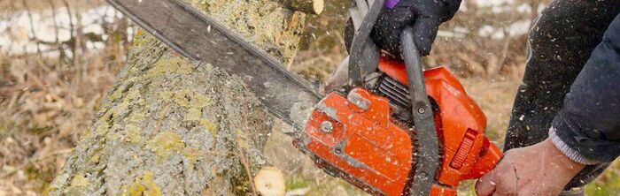  Profile Photos of Stang Tree Service 966 Co Rd I - Photo 4 of 5