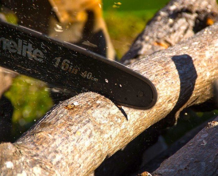  Profile Photos of Stang Tree Service 966 Co Rd I - Photo 5 of 5