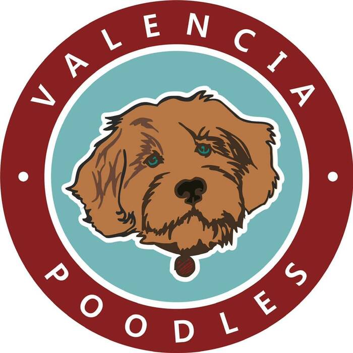  New Album of Valencia Poodles 1620 Wayland Ave - Photo 1 of 4
