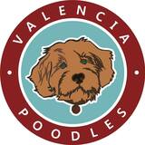  Valencia Poodles 1620 Wayland Ave 