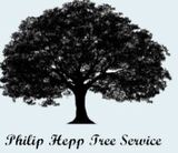 Philip Hepp Tree Service, Payson