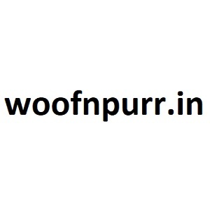  Profile Photos of Woof n Purr Playschoolâœ“Boardingâœ“Groomingâœ“Training 1578, near Artemis Hospital, Block B1, Sector 57 - Photo 1 of 1