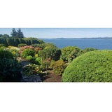  Tanabe Gardens Landscaping 1727 S Horton St, #3 