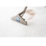  Zerorez Carpet Cleaning 4080 Centre St, Suite 207 (12) 