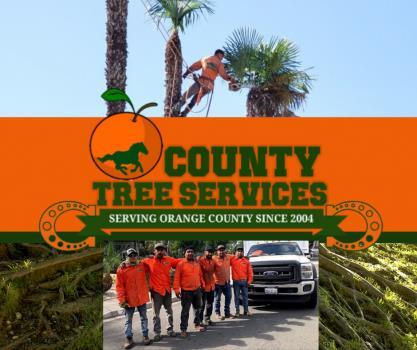  Profile Photos of Orange County Tree Services Serving Area - Photo 2 of 4