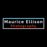 Maurice Ellison Photography & Video Production, Greenville