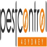 Bird Control Sydney, Sydney