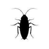 Cochran Cockroach Pest Control, Napa