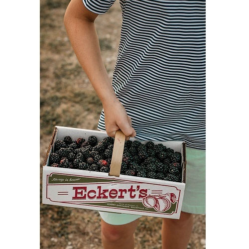  Profile Photos of Eckert's Pick Your Own Belleville Farm 951 South Green Mount Road - Photo 2 of 4