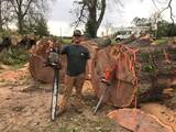 Dufour's Tree Service, Plaucheville