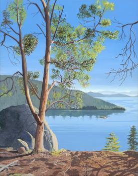  Profile Photos of Carol Borrett â€“ West Coast Watercolour 1295 Kingsview Road #14 - Photo 1 of 2