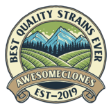 AwesomeClones, Roseville