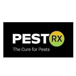  Profile Photos of Pest-RX Peterborough Pest Control 232 Wolsely Street - Photo 1 of 1
