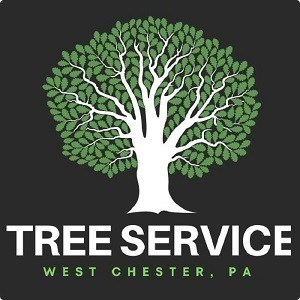  Profile Photos of Tree Service West Chester 595 Country Club Rd Suite A. - Photo 1 of 1