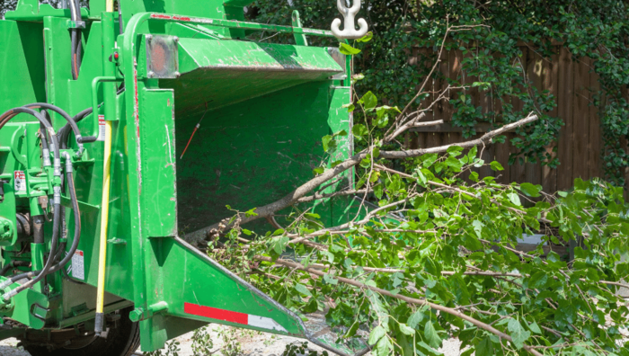  New Album of Tree Service West Chester 595 Country Club Rd Suite A. - Photo 1 of 5