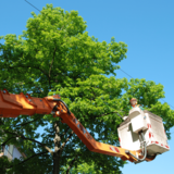  Tree Service West Chester 595 Country Club Rd Suite A. 