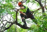  Tree Service Ontario 1264 Victoria St N 