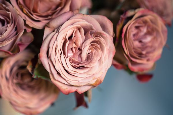  Profile Photos of La Monteiro LLC N/A - Photo 5 of 9