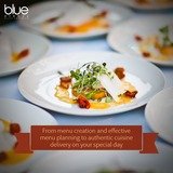 Blue Circle Elite Catering, New Delhi