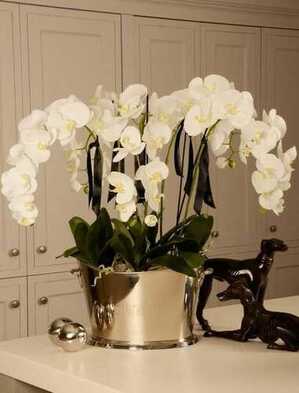  Profile Photos of Interior Gardens 4/117 Ashmore Road - Photo 3 of 4