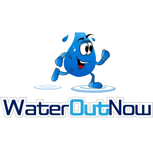  Profile Photos of Water Out Now - Restoration services 1022 Blanchard Ave - Photo 2 of 2