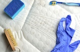 Prairie Mold Experts, Champaign