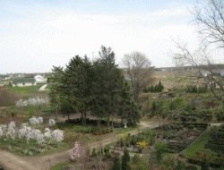  Profile Photos of Woodville Rd.Nursery & The Stone Yard  Ltd 5819 Woodville Rd - Photo 3 of 4