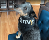  Dinvy, LLC 215 North Water Street, Suite 150 