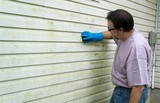 Wickham Park Mold Experts, Melbourne