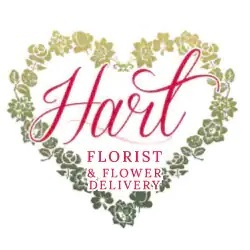  Profile Photos of Hart Florist & Flower Delivery 1201 McHenry Ave - Photo 1 of 1