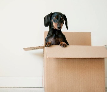  Profile Photos of Quality Movers Escondido 1770 E Valley Pkwy, #1614 - Photo 3 of 6