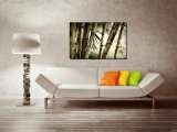 CANVEX | Fine CANVas EXperience, Bucuresti