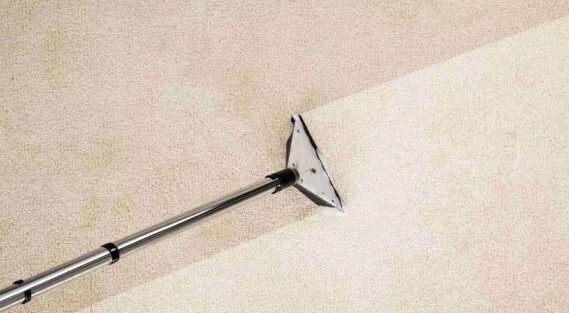  Profile Photos of Carpet Cleaner Reno Putnam Dr - Photo 3 of 4
