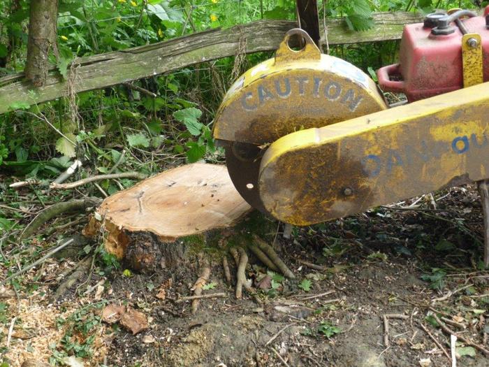 stump grinding and removal machine kent Profile Photos of MJM Forestry & Land Clearance Ltd Birchley House Farm, Fosten Lane - Photo 3 of 3