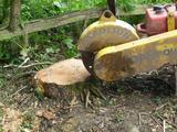 stump grinding and removal machine kent, MJM Forestry & Land Clearance Ltd, Biddenden