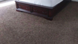  Mr Clean Carpet Care 337 N Mesa Dr, Suite 203 