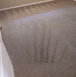  Mr Clean Carpet Care 337 N Mesa Dr, Suite 203 