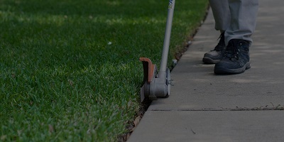  Profile Photos of Flower Mound Lawn Service 3809 Baldomera St - Photo 1 of 2